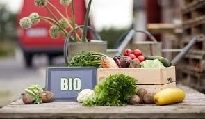 Jaká je skutečná pravda o biopotravinách?